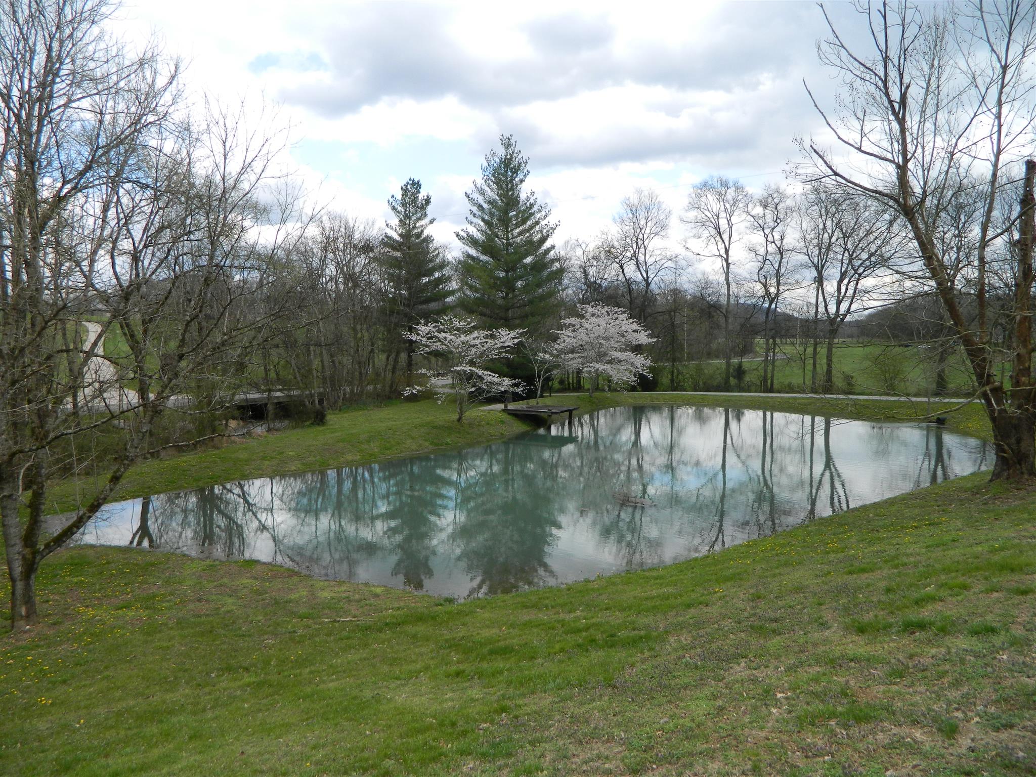491 Pee Dee Branch Road Cottontown, TN 37048 - Photo 8 of 30 a view of a lake from a yard