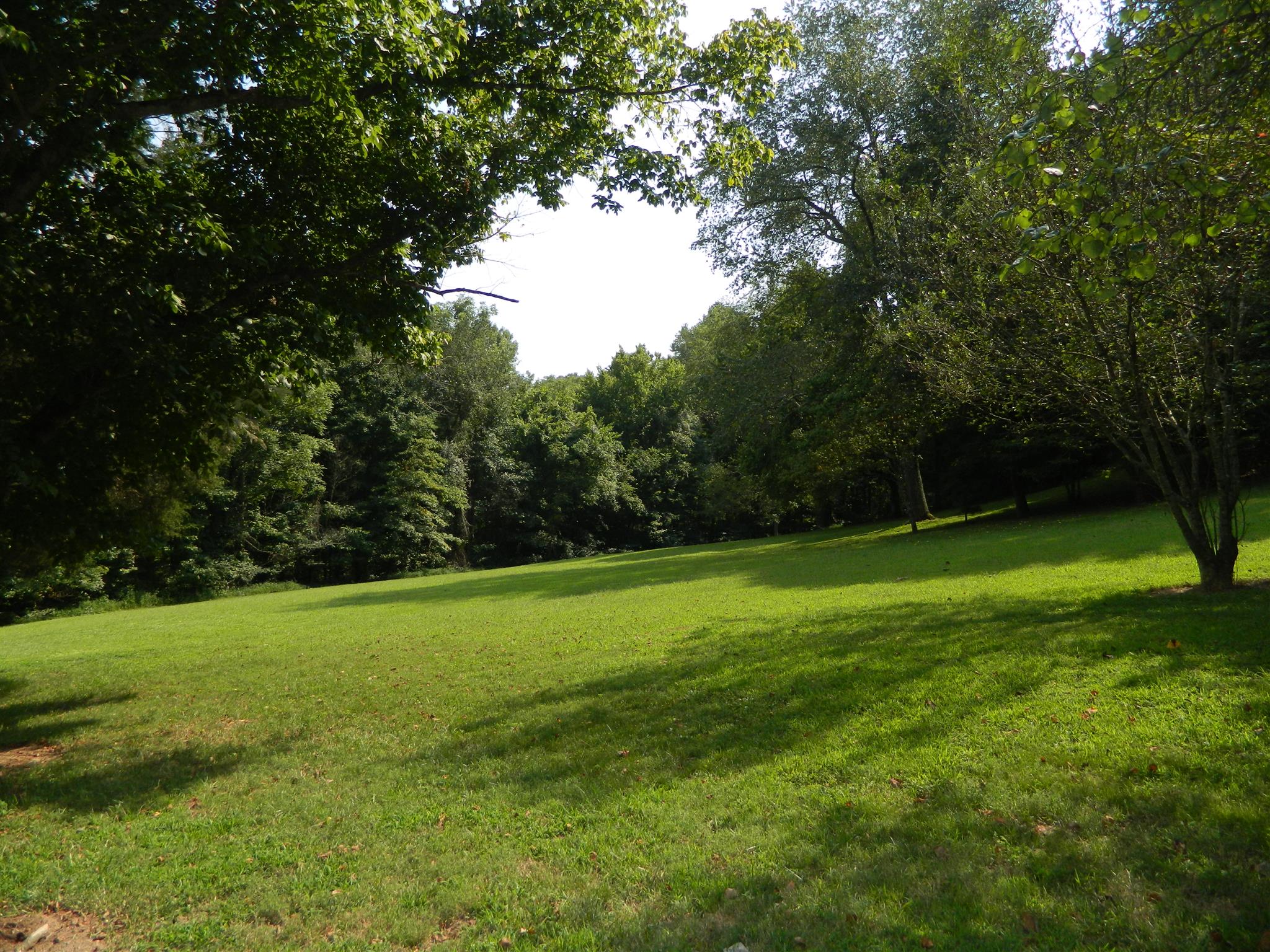 491 Pee Dee Branch Road Cottontown, TN 37048 - Photo 9 of 30 a view of a grassy field with trees