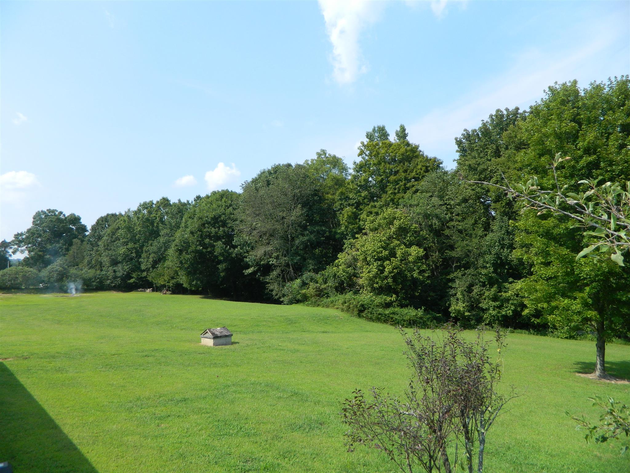 491 Pee Dee Branch Road Cottontown, TN 37048 - Photo 10 of 30 a view of a field with grass and trees