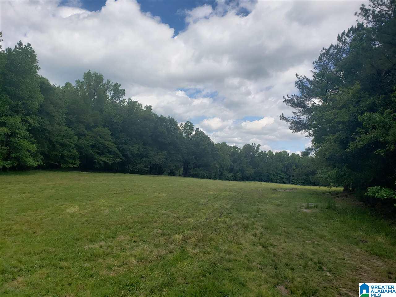 0 County Road 36 Heflin, AL 36264 - Photo 4 of 11