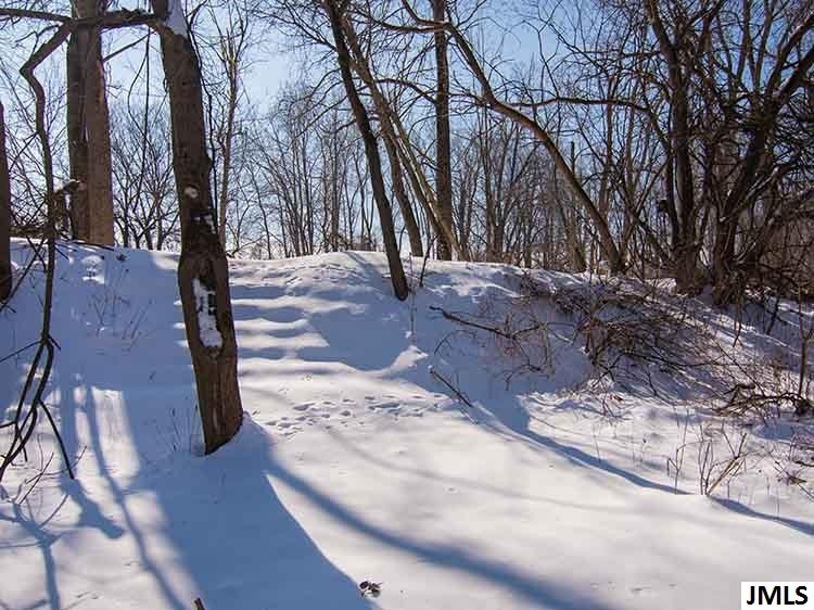 8008 Dunn Road Munith, MI 49259 - Photo 9 of 29 Photo 9