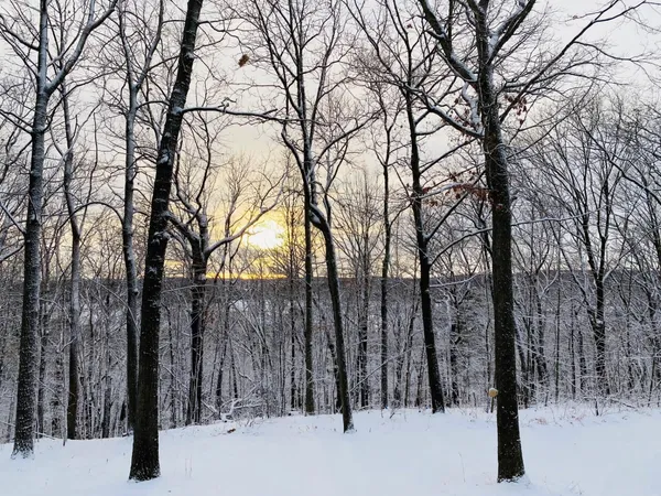 $1,150,000 | W5975 Pheasant Lane, Plymouth, WI 53073