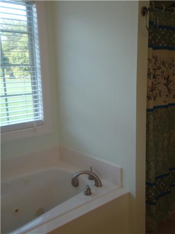 3281 Noah Road Beechgrove, TN 37018 - Photo 15 of 20 In the master bath you can lay back and relax in the garden tub.