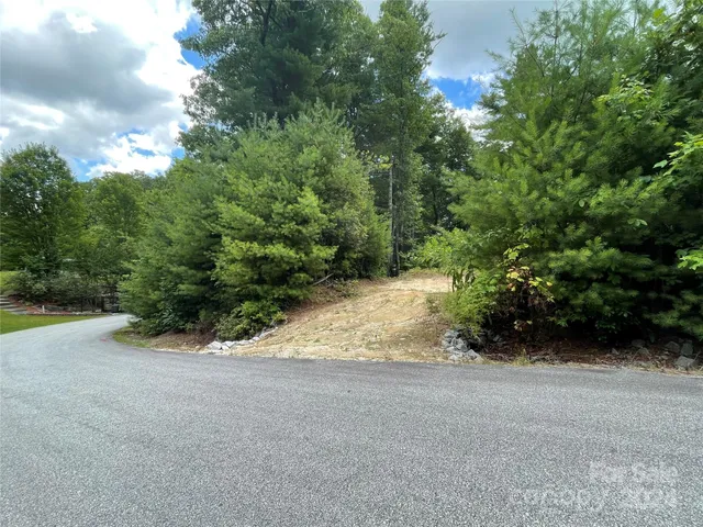 a view of a road with trees in the background