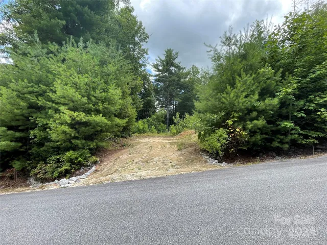 a view of a yard with plants and trees