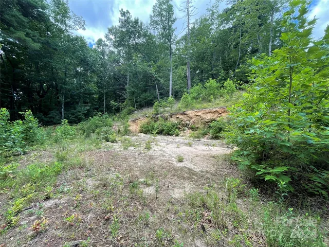 a view of backyard with green space