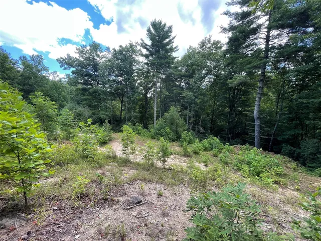 a big yard with lots of green space and deers