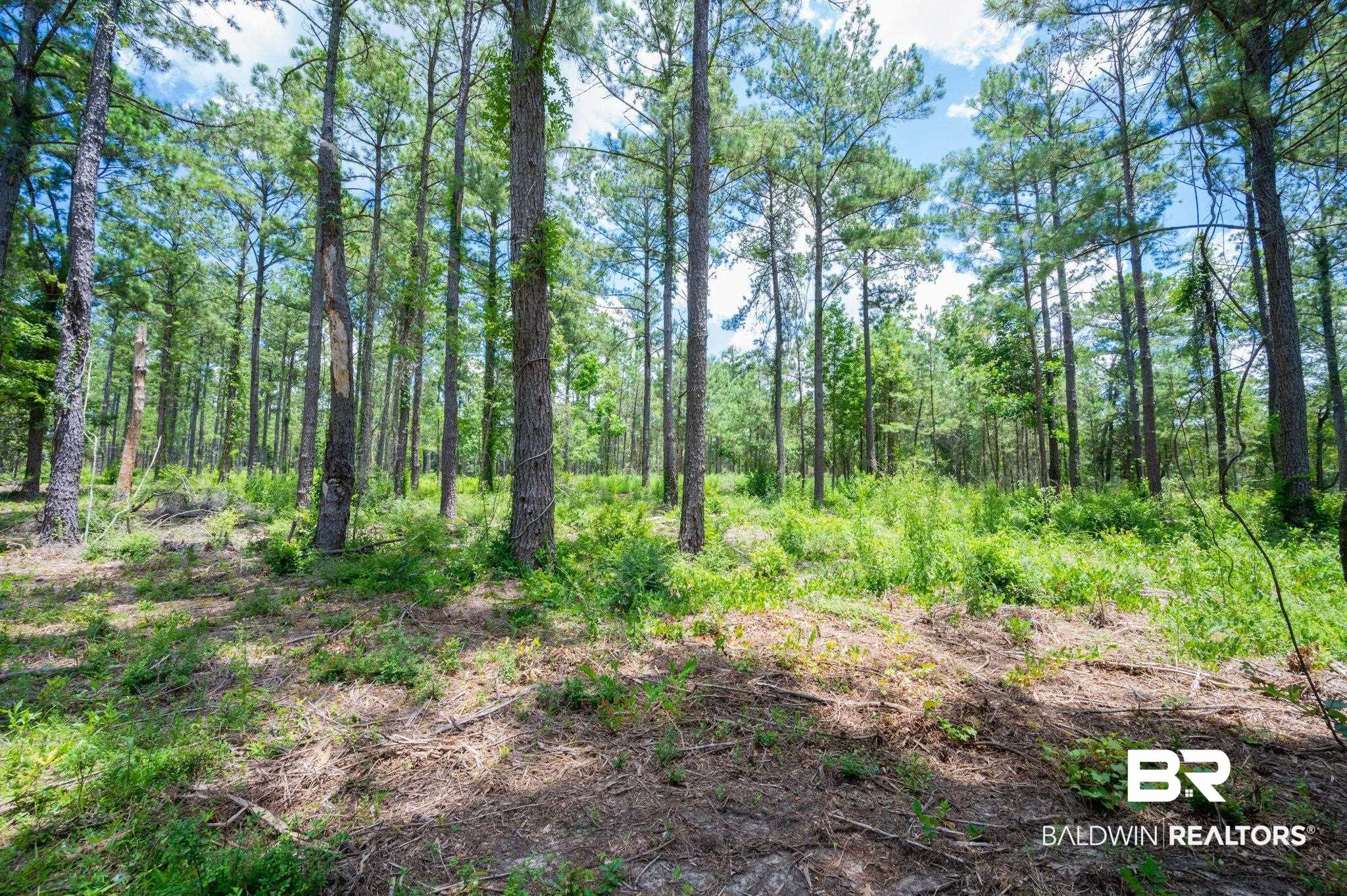 0 Hurricane Road Bay Minette, AL 36507 - Photo 2 of 30