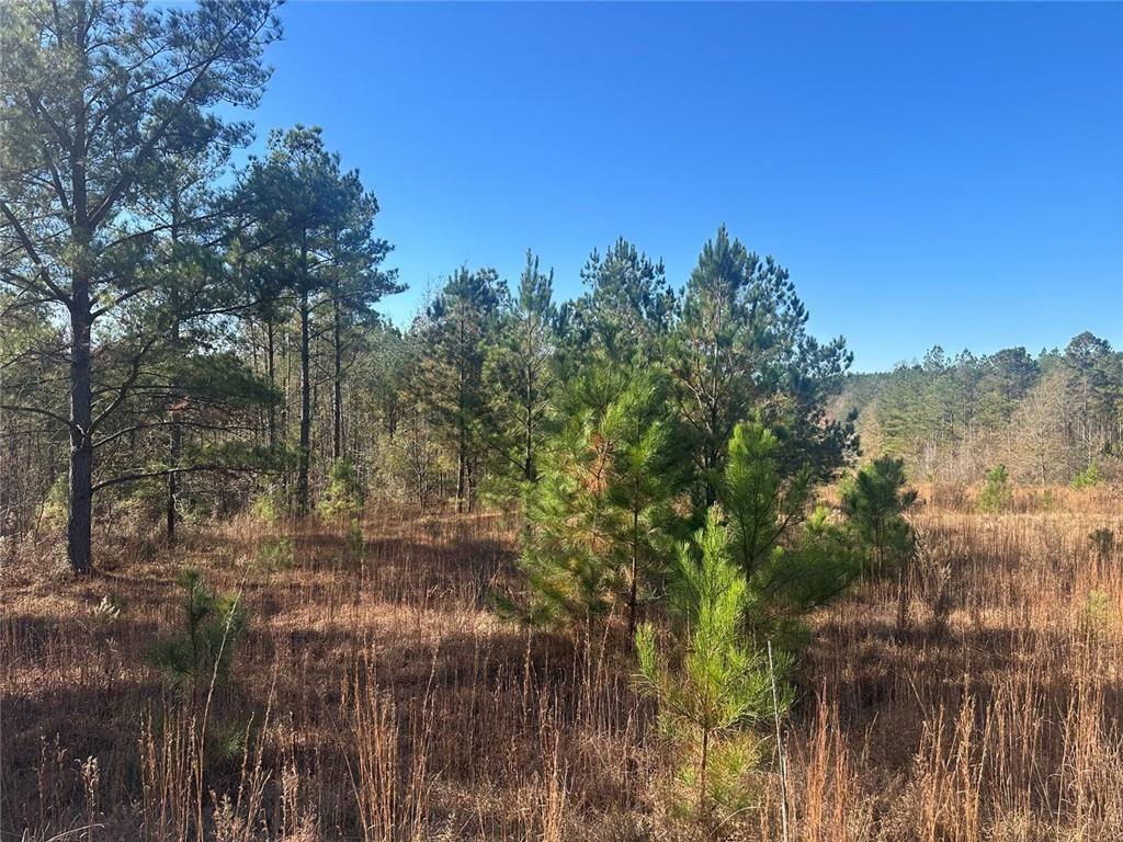0 North Indian Trail Road Sandersville, GA 31082 - Photo 15 of 26