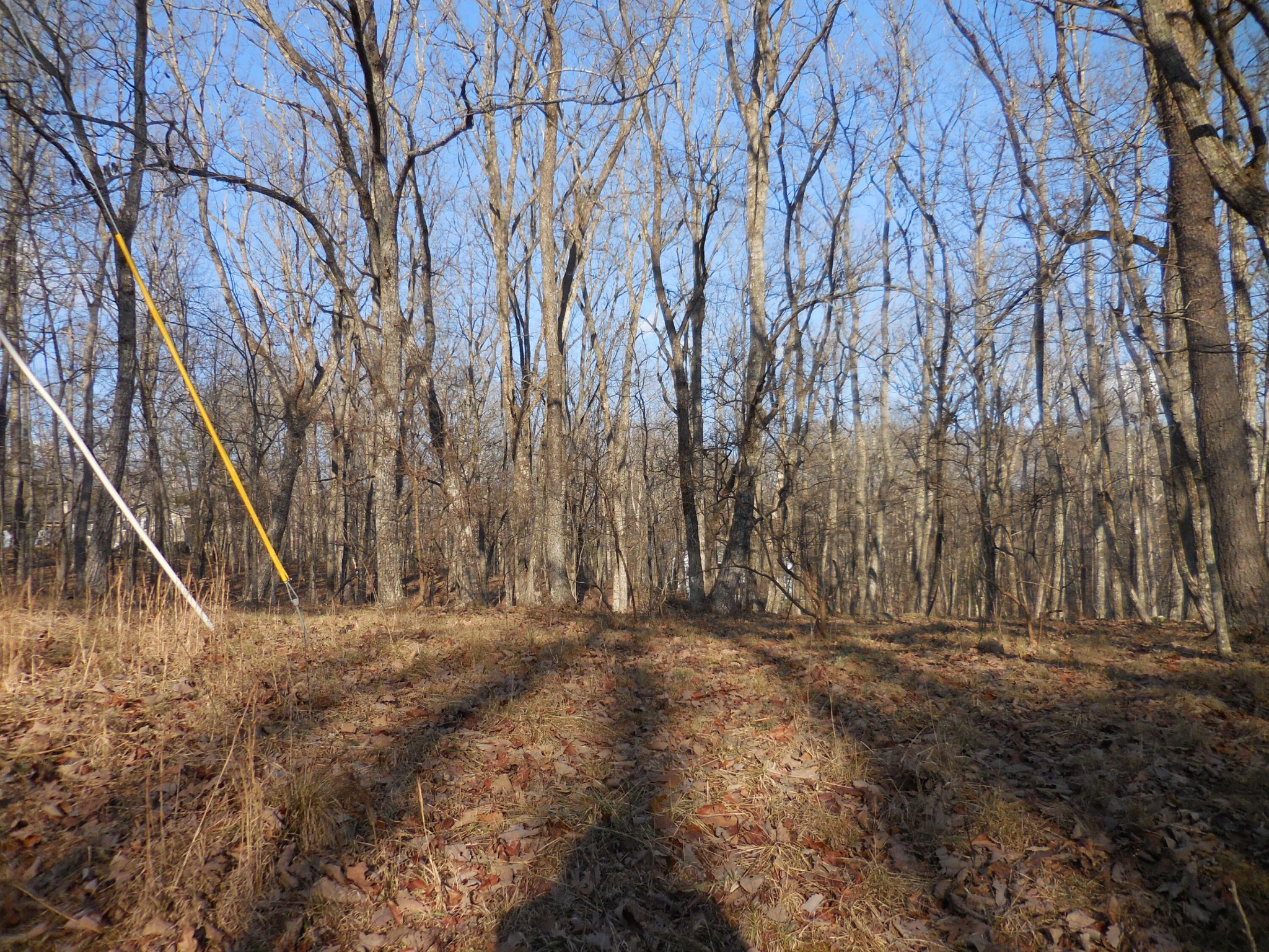 133 Greenbrier Loop Crossville, TN 38558 - Photo 8 of 11 a view of dirt field with trees in the background