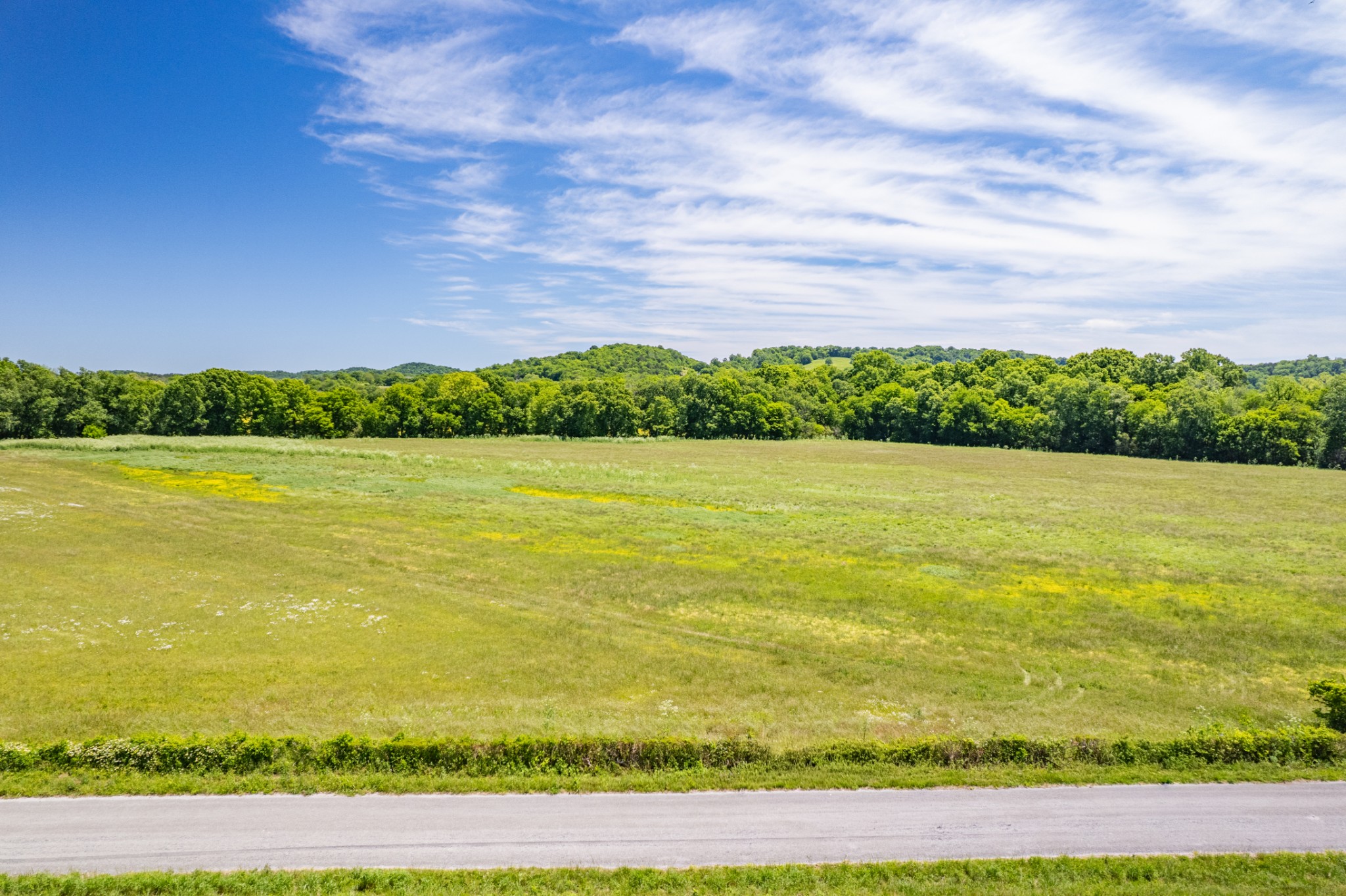 32 Hart Leonard Road Cornersville, TN 37047 - Photo 2 of 58 a view of a lake with a city view