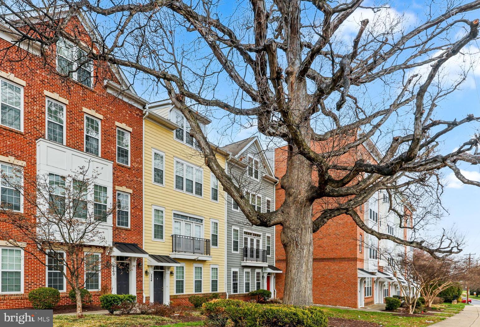 224 North Summit Avenue Gaithersburg, MD 20877 - Photo 1 of 34 a tree in the middle of a building