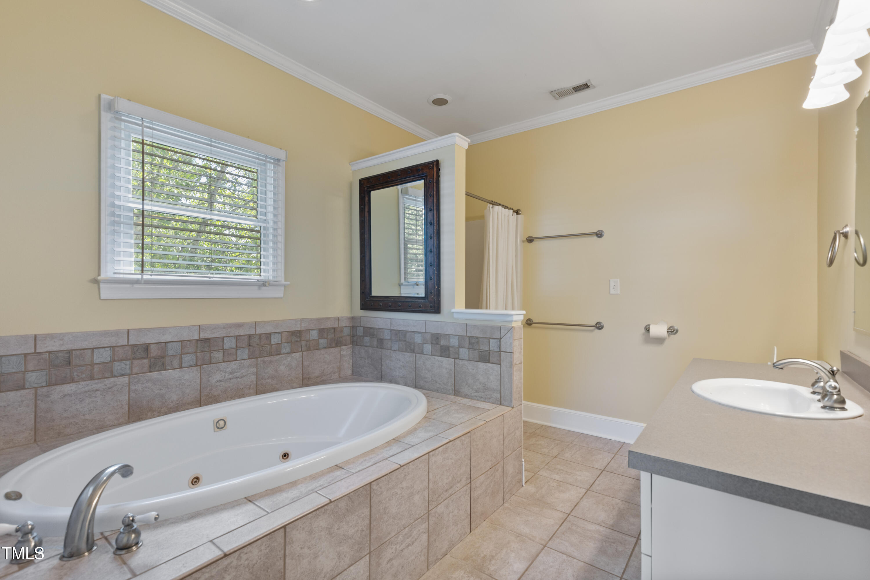 207 North Hopkins Avenue Spring Hope, NC 27882 - Photo 22 of 41 Primary Bath