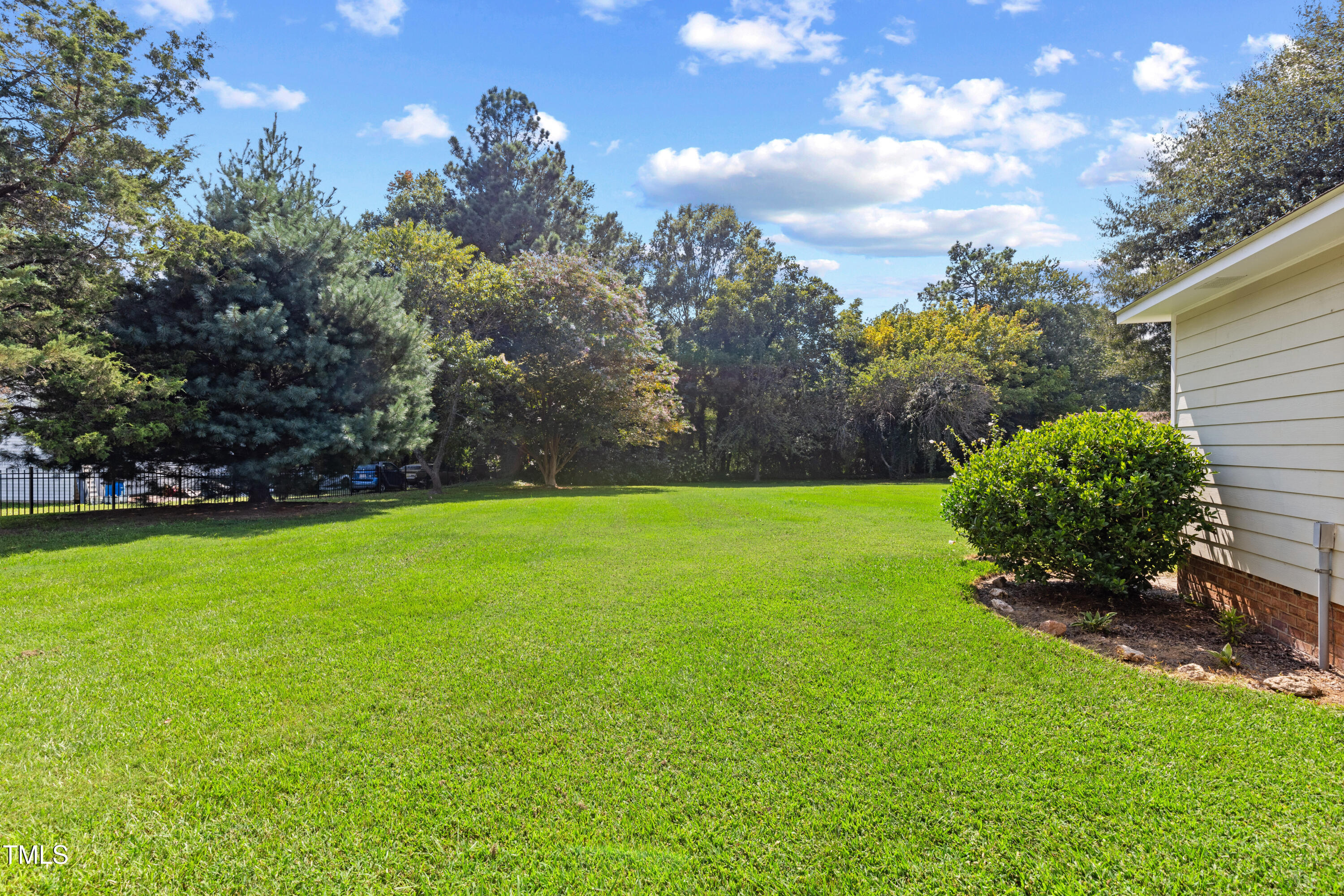 207 North Hopkins Avenue Spring Hope, NC 27882 - Photo 30 of 41 Backyard
