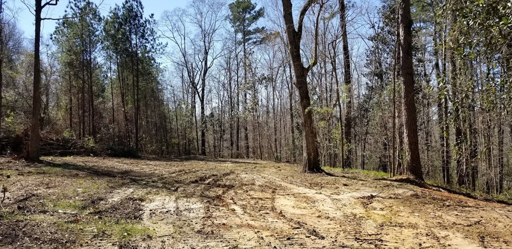 Tbd West Roy Parker Road Ozark, AL 36360 - Photo 2 of 6