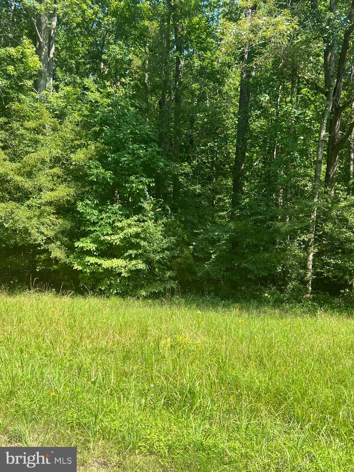 Rattletrap Road Ruther Glen, VA 22546 - Photo 11 of 26
