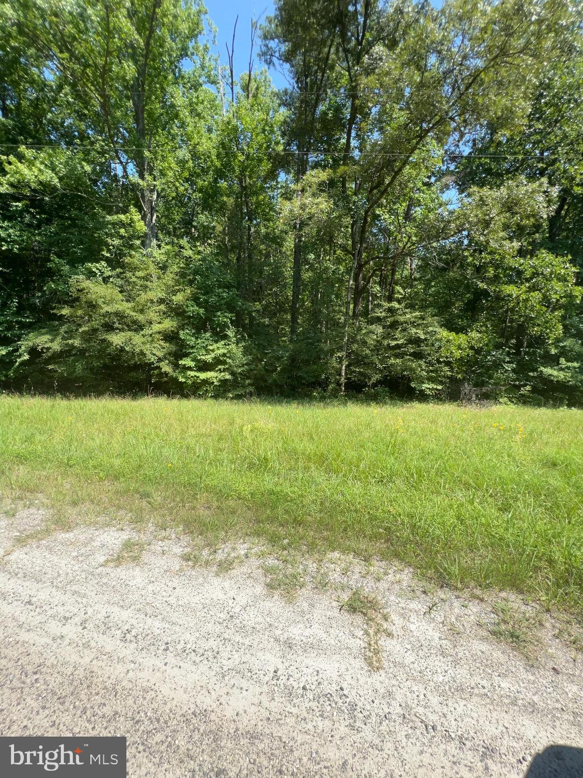 Rattletrap Road Ruther Glen, VA 22546 - Photo 12 of 26