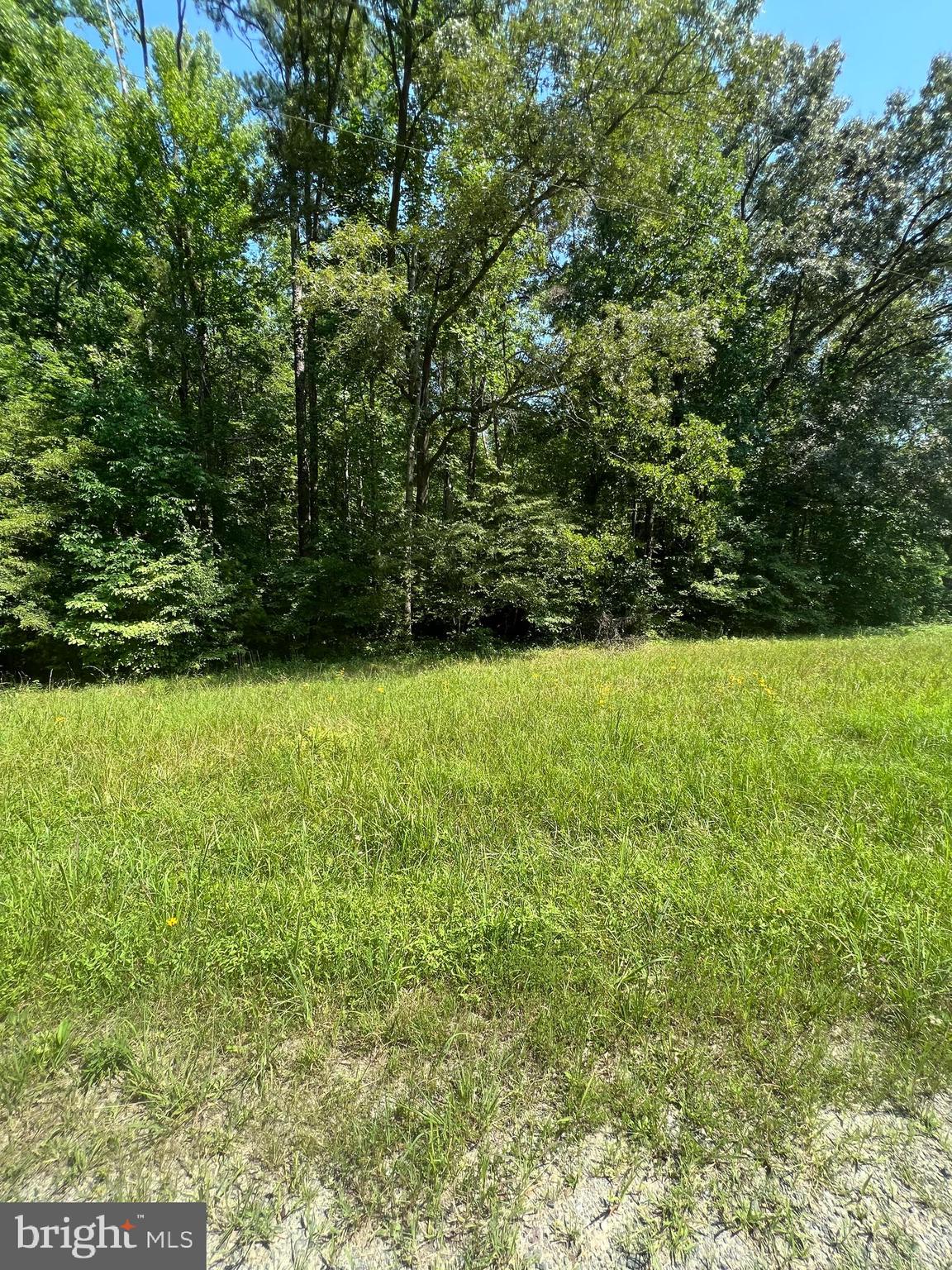 Rattletrap Road Ruther Glen, VA 22546 - Photo 15 of 26