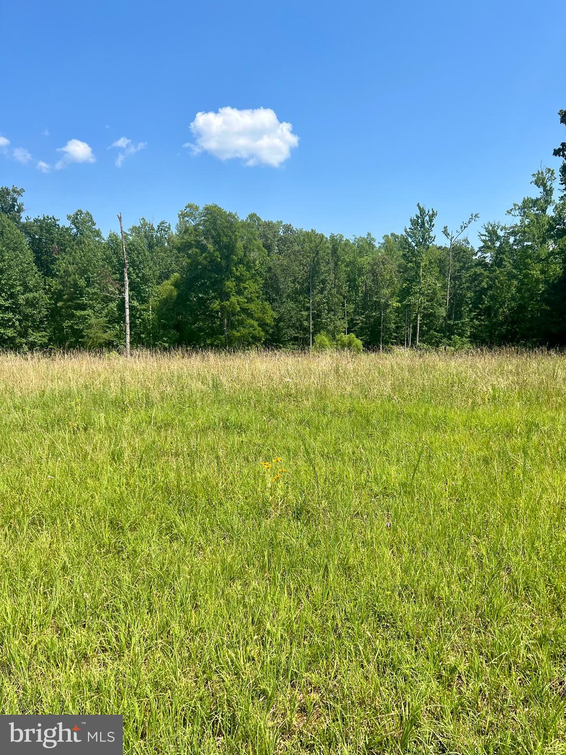 Rattletrap Road Ruther Glen, VA 22546 - Photo 16 of 26