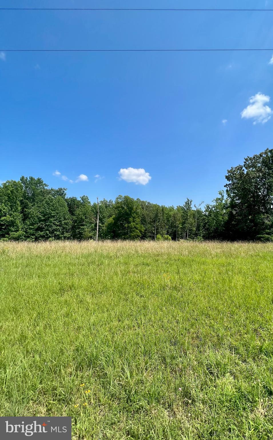 Rattletrap Road Ruther Glen, VA 22546 - Photo 18 of 26