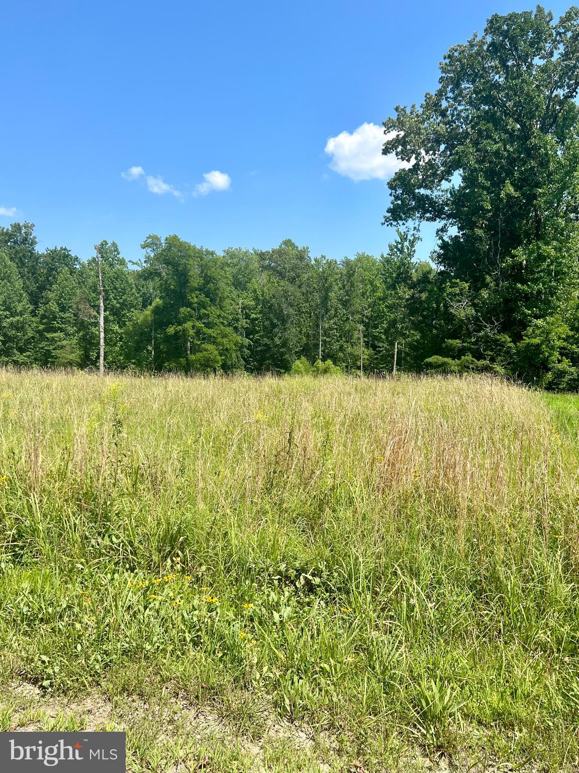 Rattletrap Road Ruther Glen, VA 22546 - Photo 20 of 26