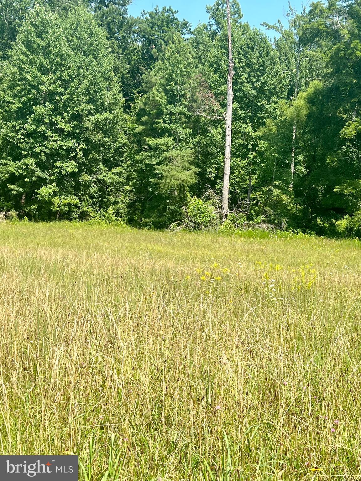 Rattletrap Road Ruther Glen, VA 22546 - Photo 21 of 26