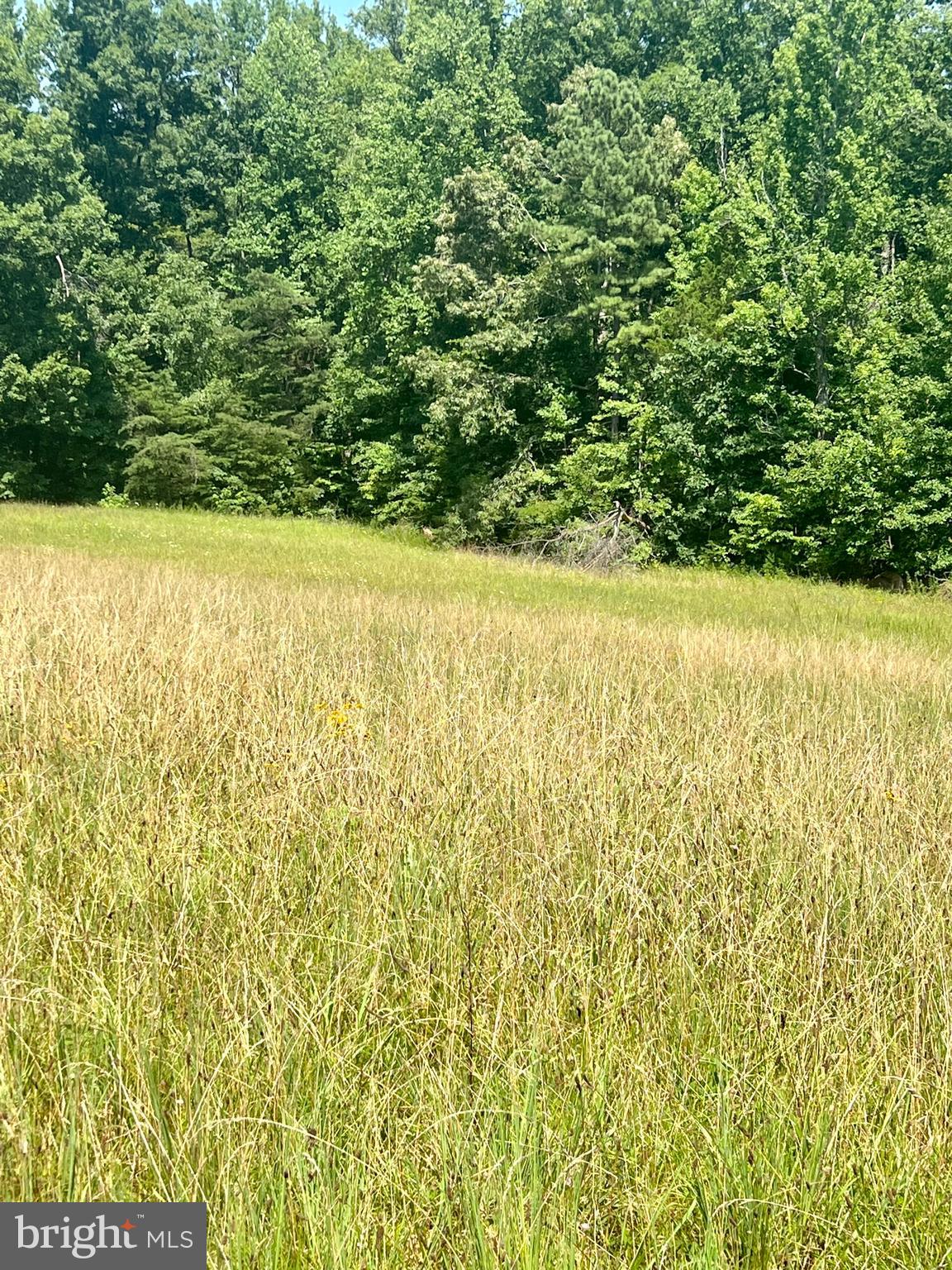 Rattletrap Road Ruther Glen, VA 22546 - Photo 22 of 26