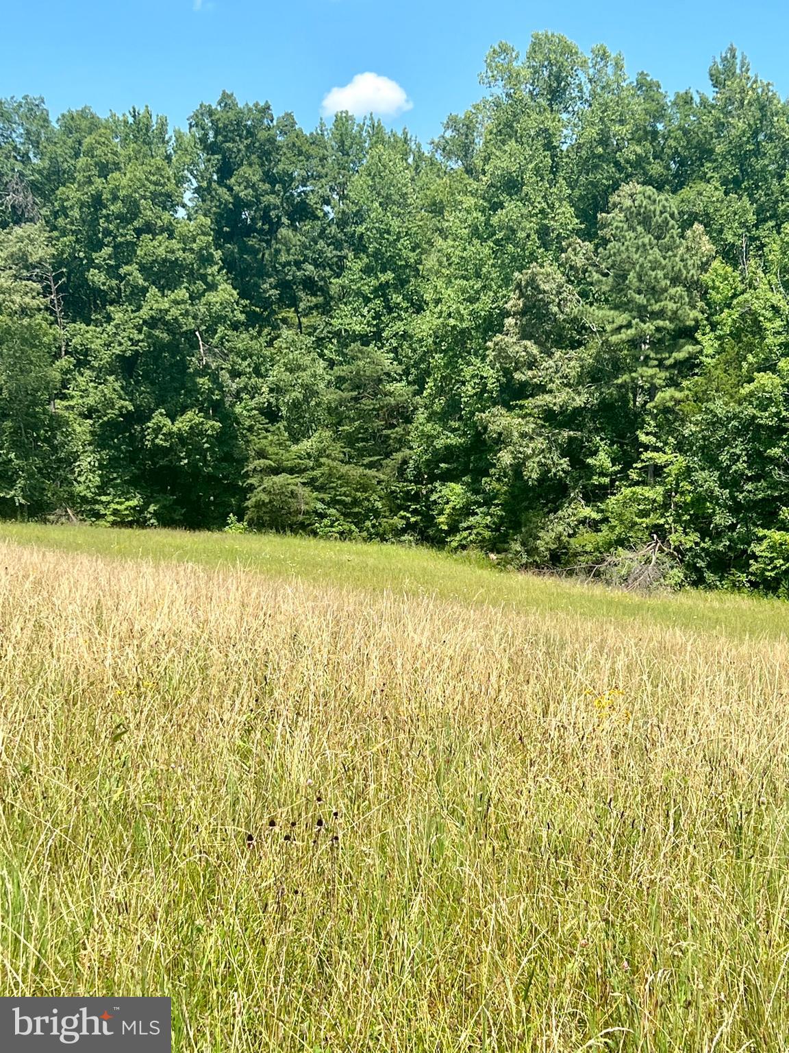 Rattletrap Road Ruther Glen, VA 22546 - Photo 23 of 26