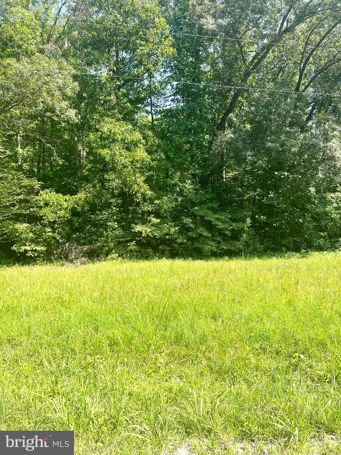Rattletrap Road Ruther Glen, VA 22546 - Photo 24 of 26