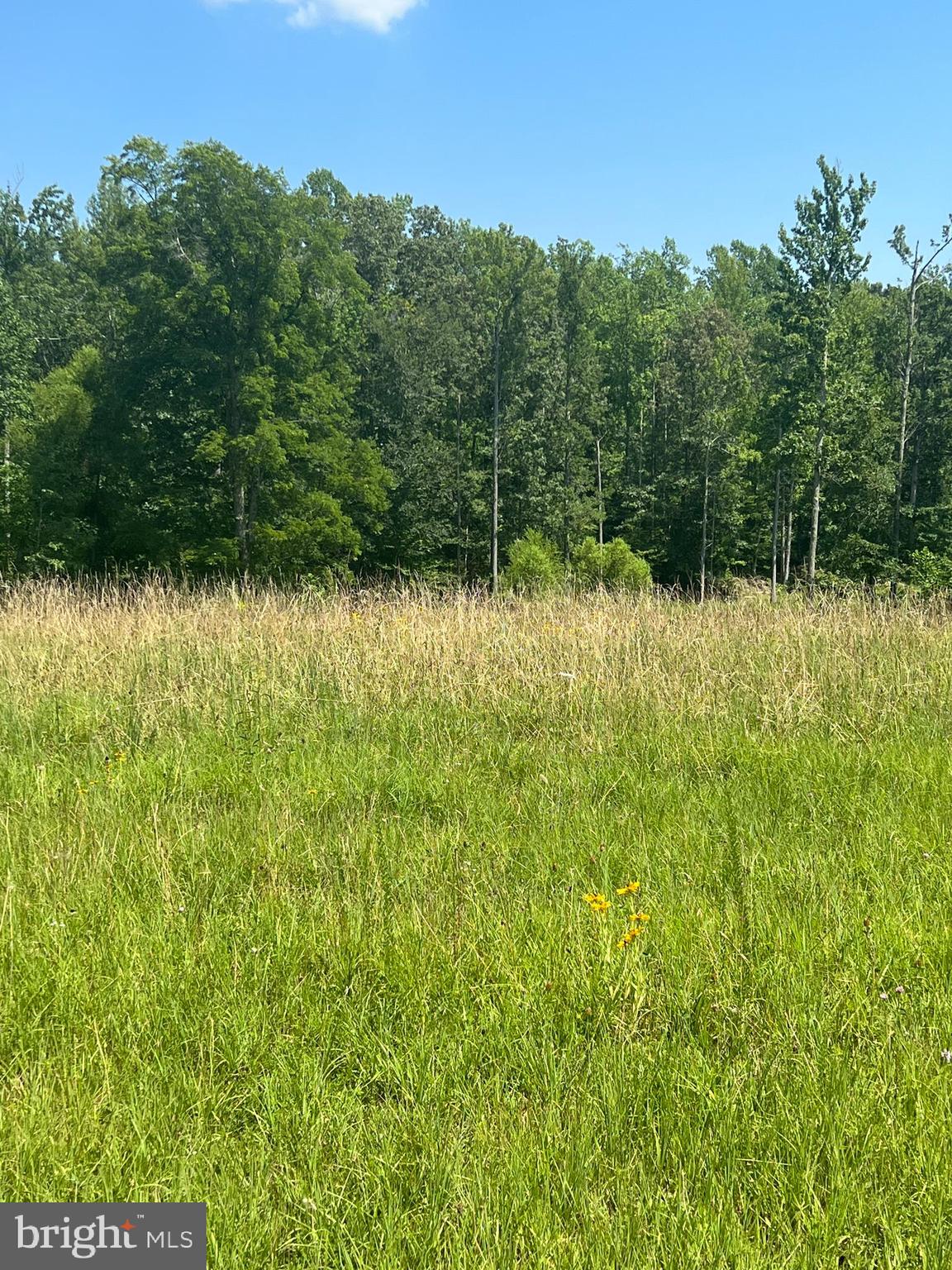 Rattletrap Road Ruther Glen, VA 22546 - Photo 3 of 26