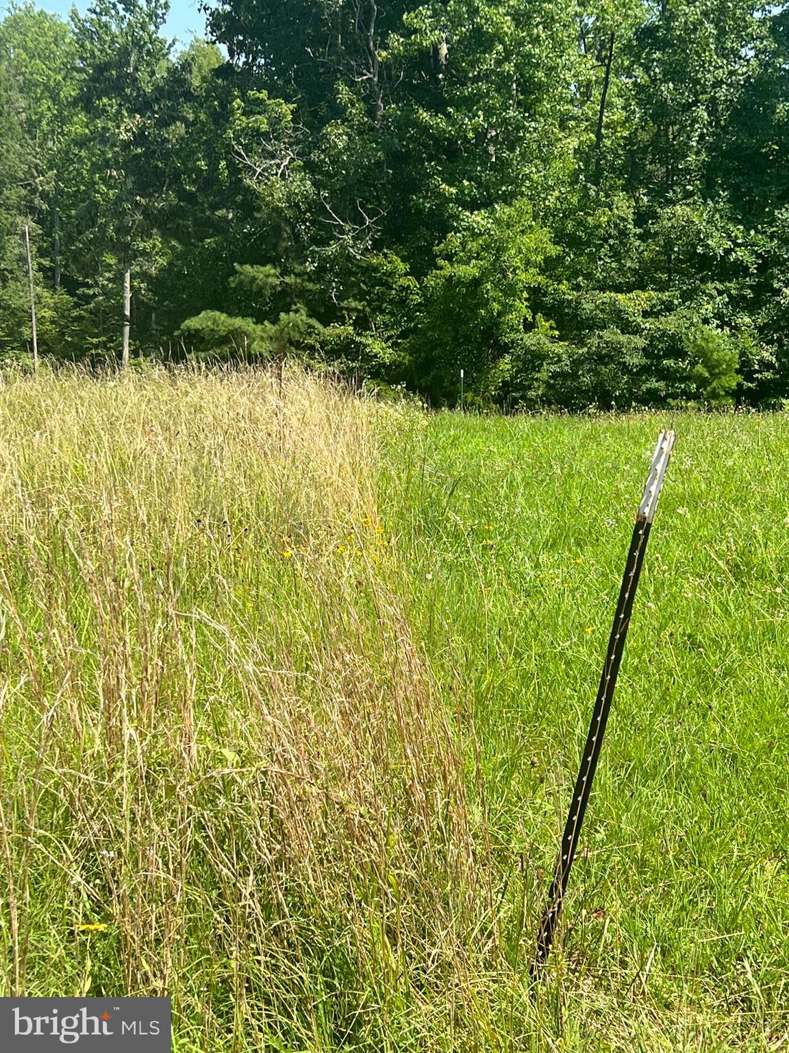 Rattletrap Road Ruther Glen, VA 22546 - Photo 4 of 26