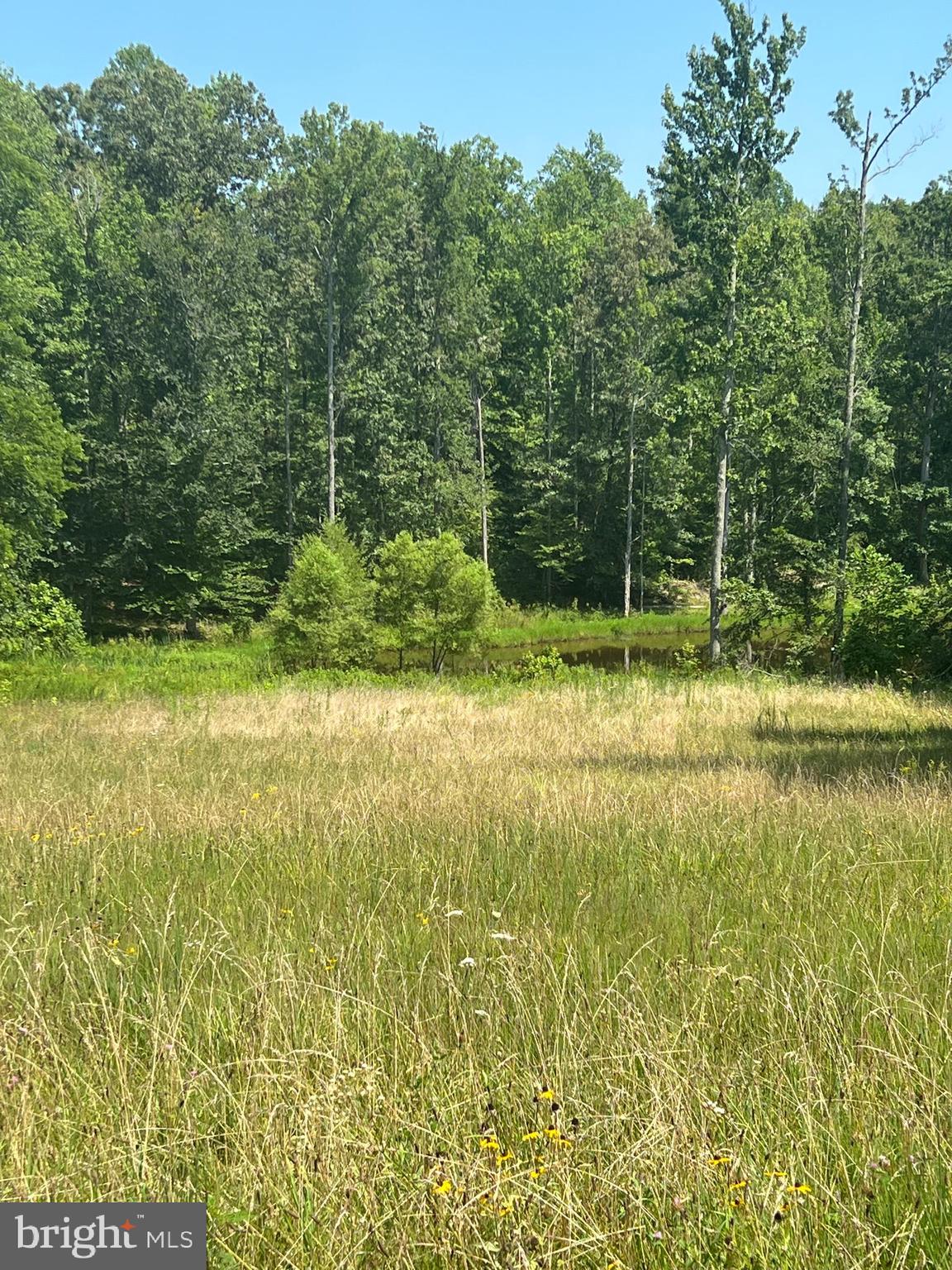 Rattletrap Road Ruther Glen, VA 22546 - Photo 6 of 26