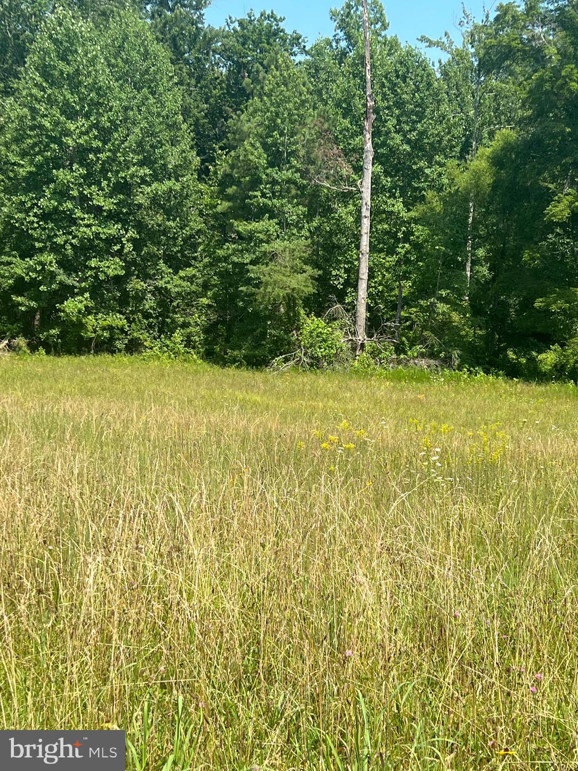 Rattletrap Road Ruther Glen, VA 22546 - Photo 7 of 26