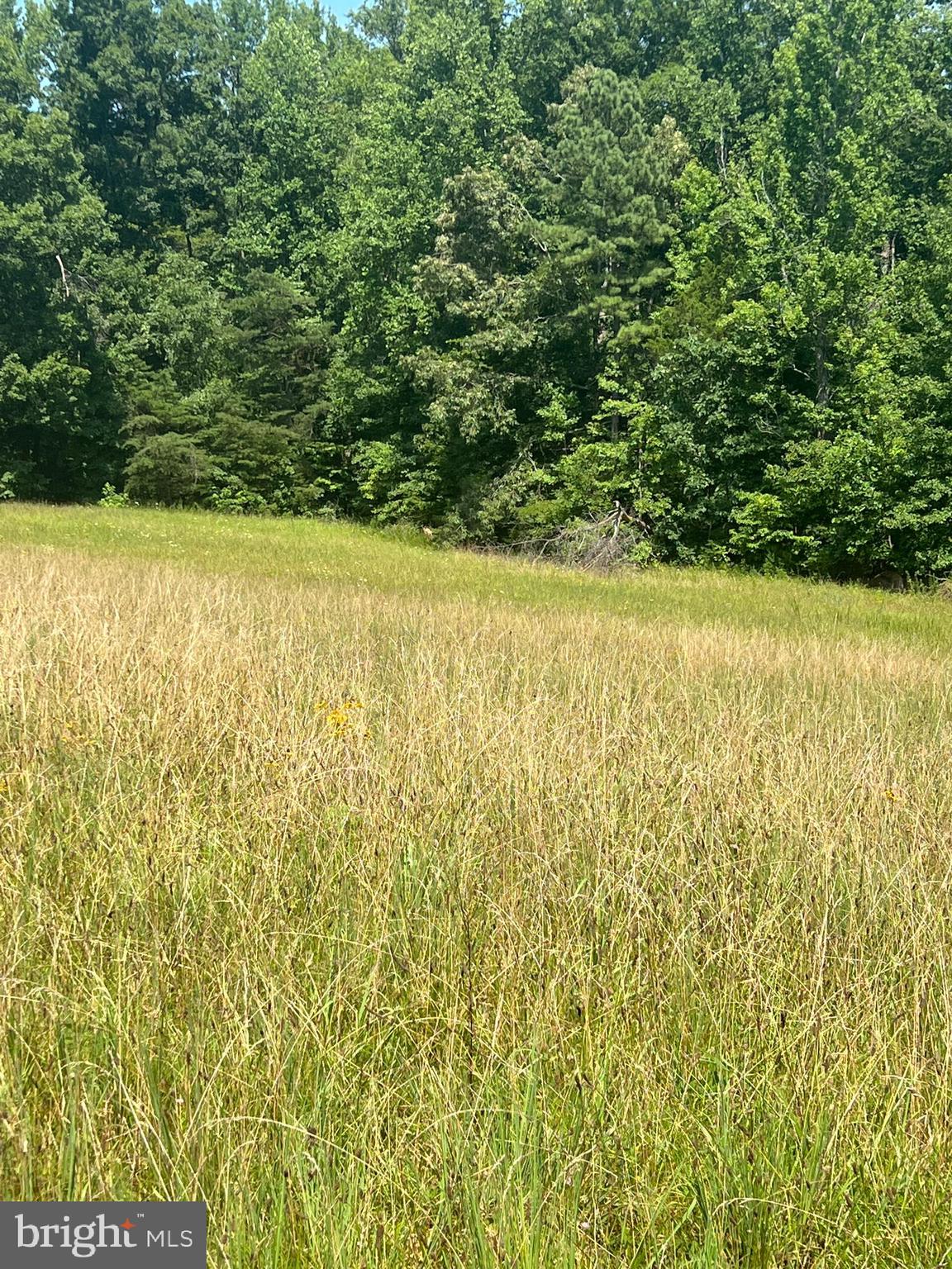Rattletrap Road Ruther Glen, VA 22546 - Photo 8 of 26