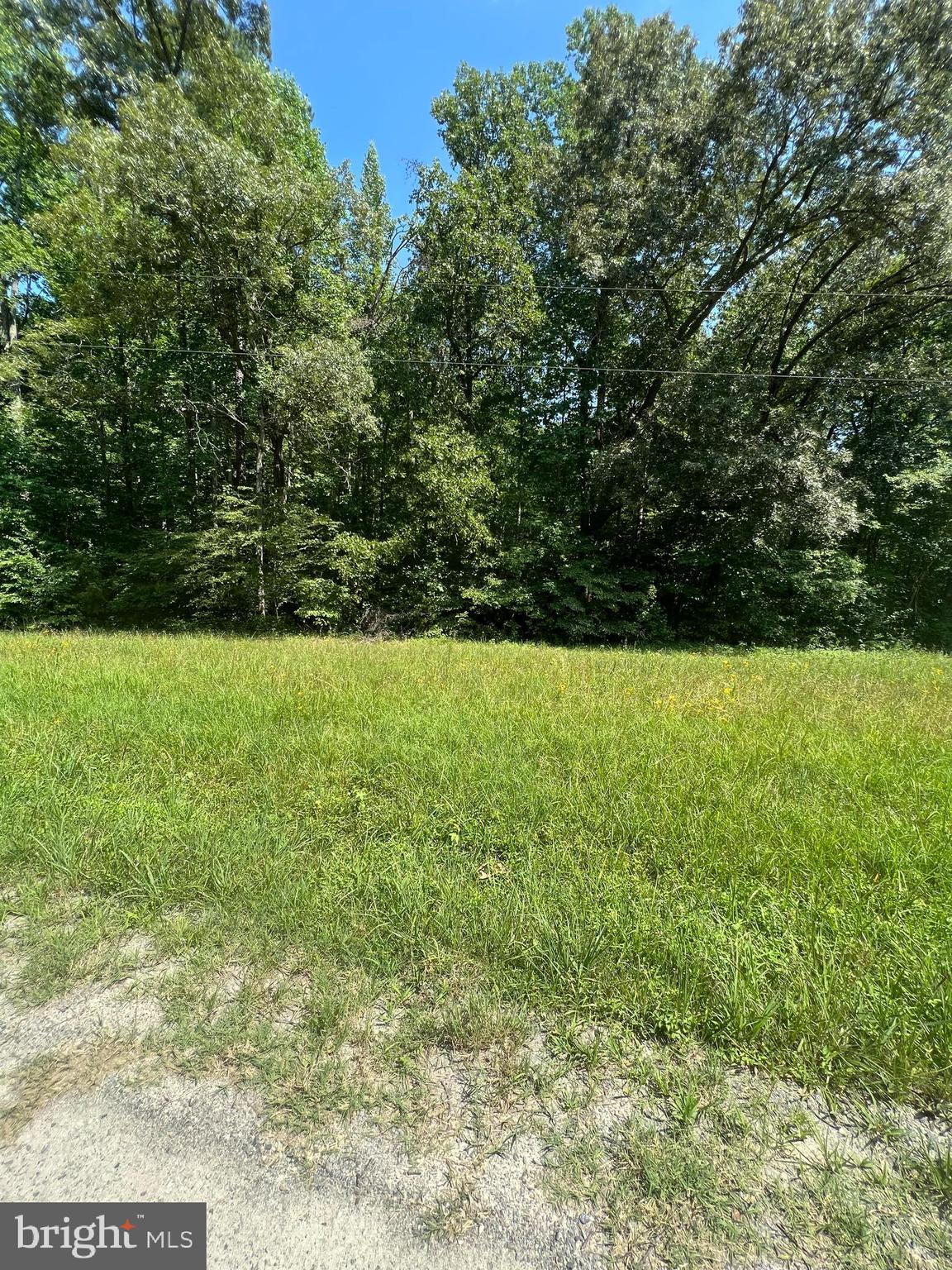 Rattletrap Road Ruther Glen, VA 22546 - Photo 9 of 26