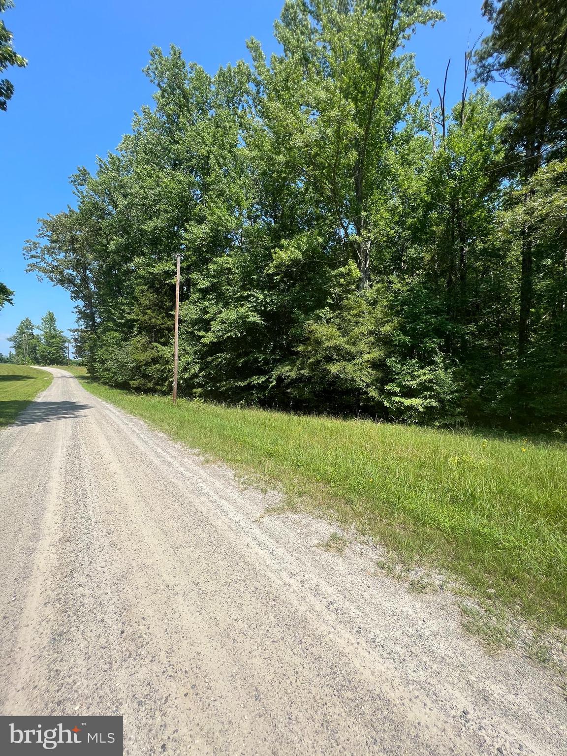 Rattletrap Road Ruther Glen, VA 22546 - Photo 10 of 26