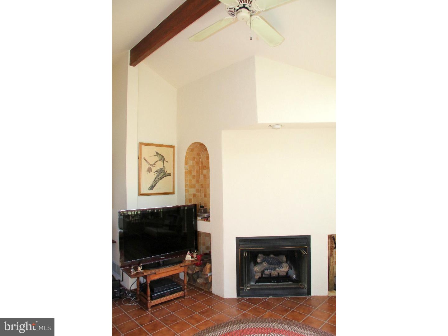 3 Hillspur Road Kennett Square, PA 19348 - Photo 9 of 23 Fireplace