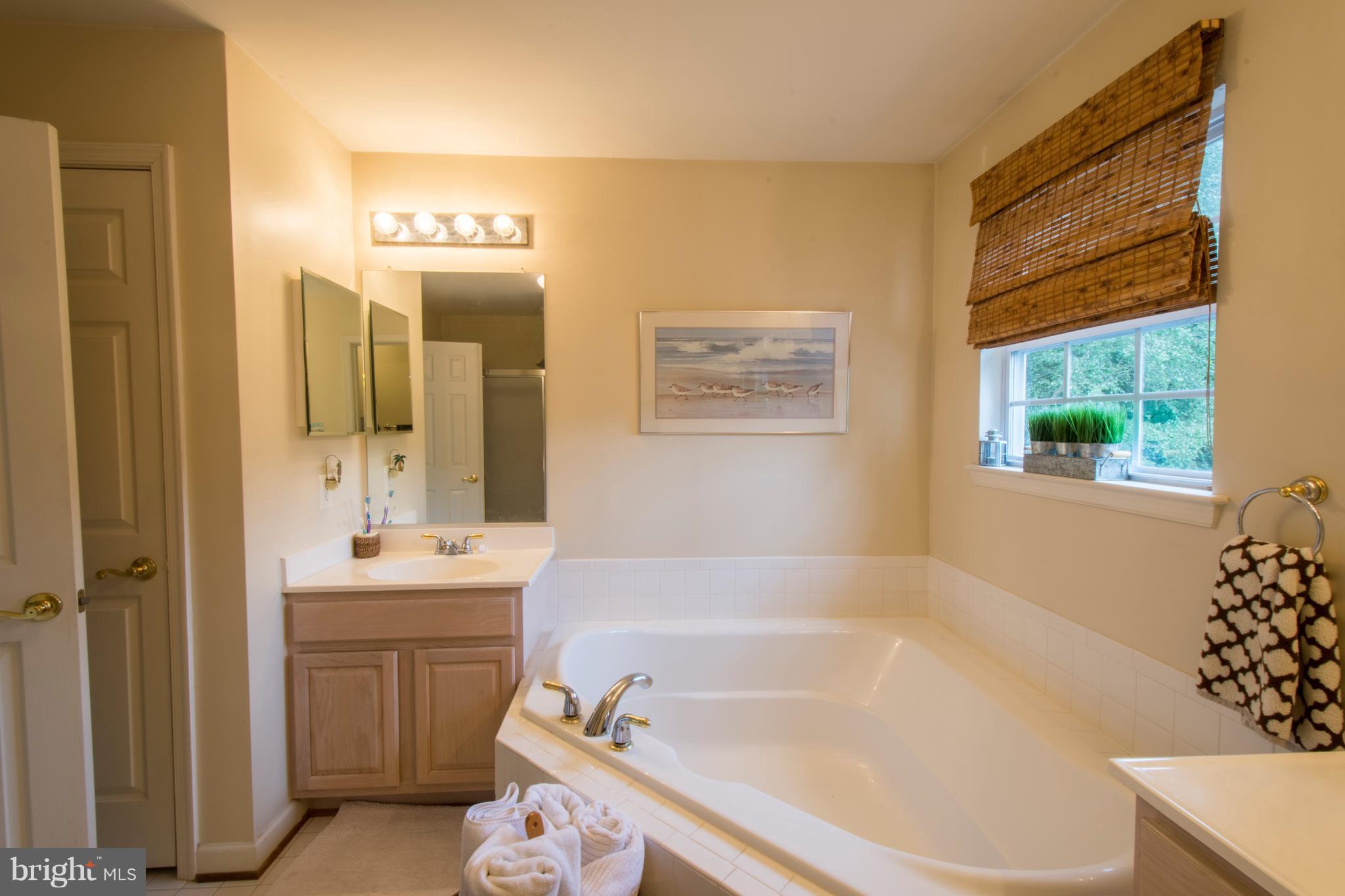 3202 Homewood Road Davidsonville, MD 21035 - Photo 17 of 62 Owners Bathroom With Double Vanities