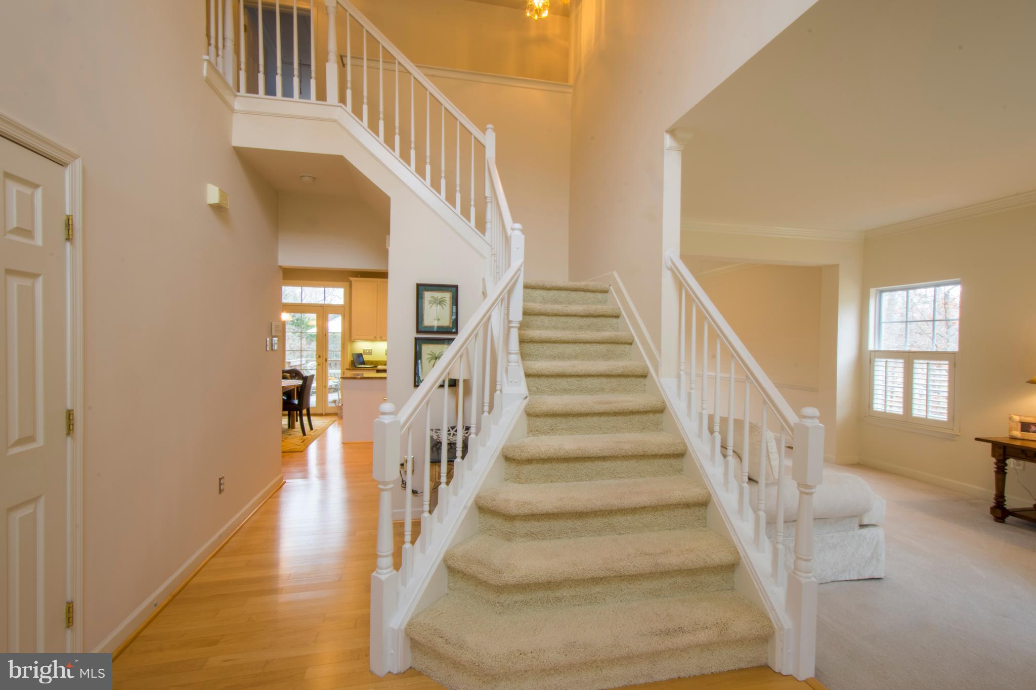 3202 Homewood Road Davidsonville, MD 21035 - Photo 3 of 62 Light Filled Two Story Entranceway