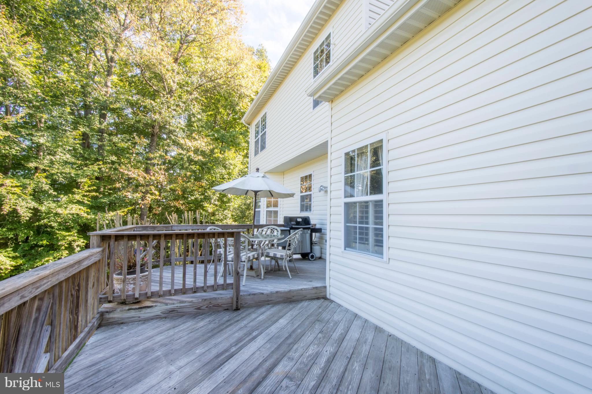 3202 Homewood Road Davidsonville, MD 21035 - Photo 39 of 62 Great Entertaining Spaces