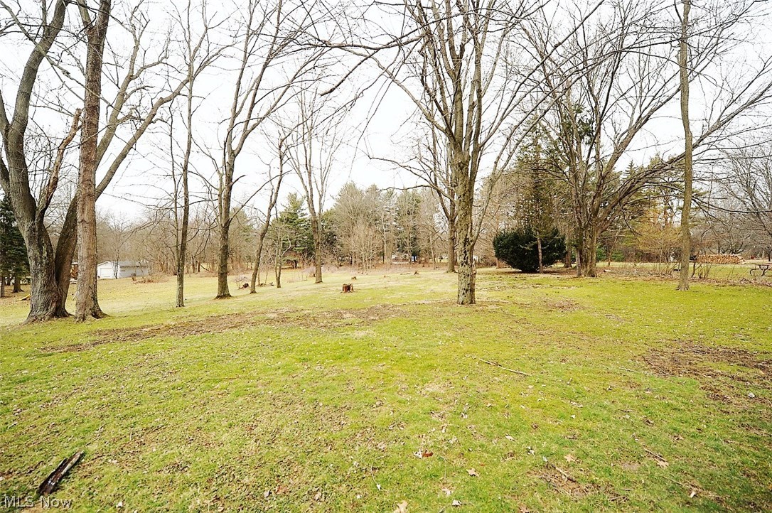 5660 Dailey Road New Franklin, OH 44319 - Photo 3 of 23 Almost 1 Full Acre Of Land!! Super Nice Back Yard