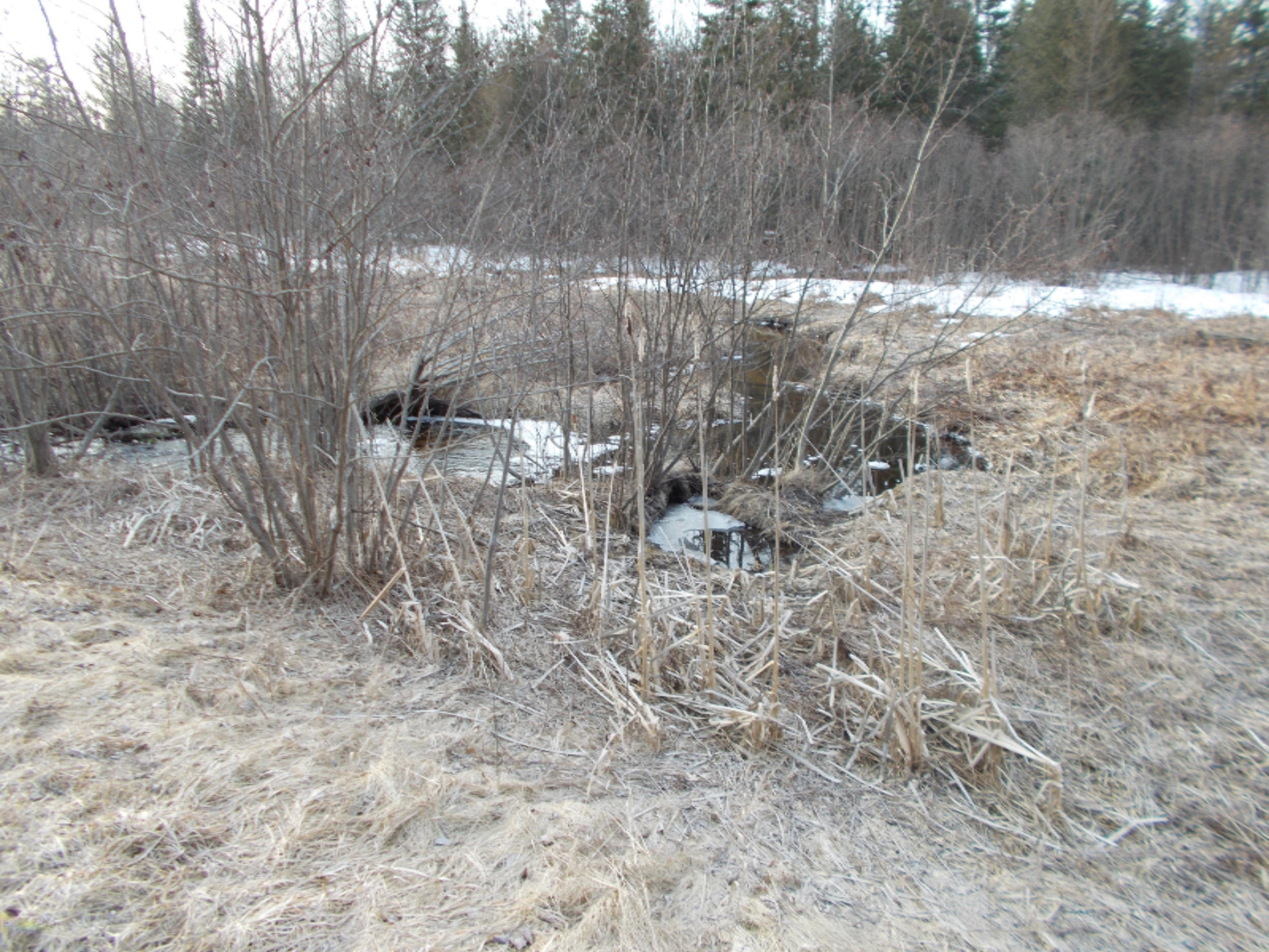 0 East Decker Rd Branch Branch, MI 49402 - Photo 4 of 8 Decker
