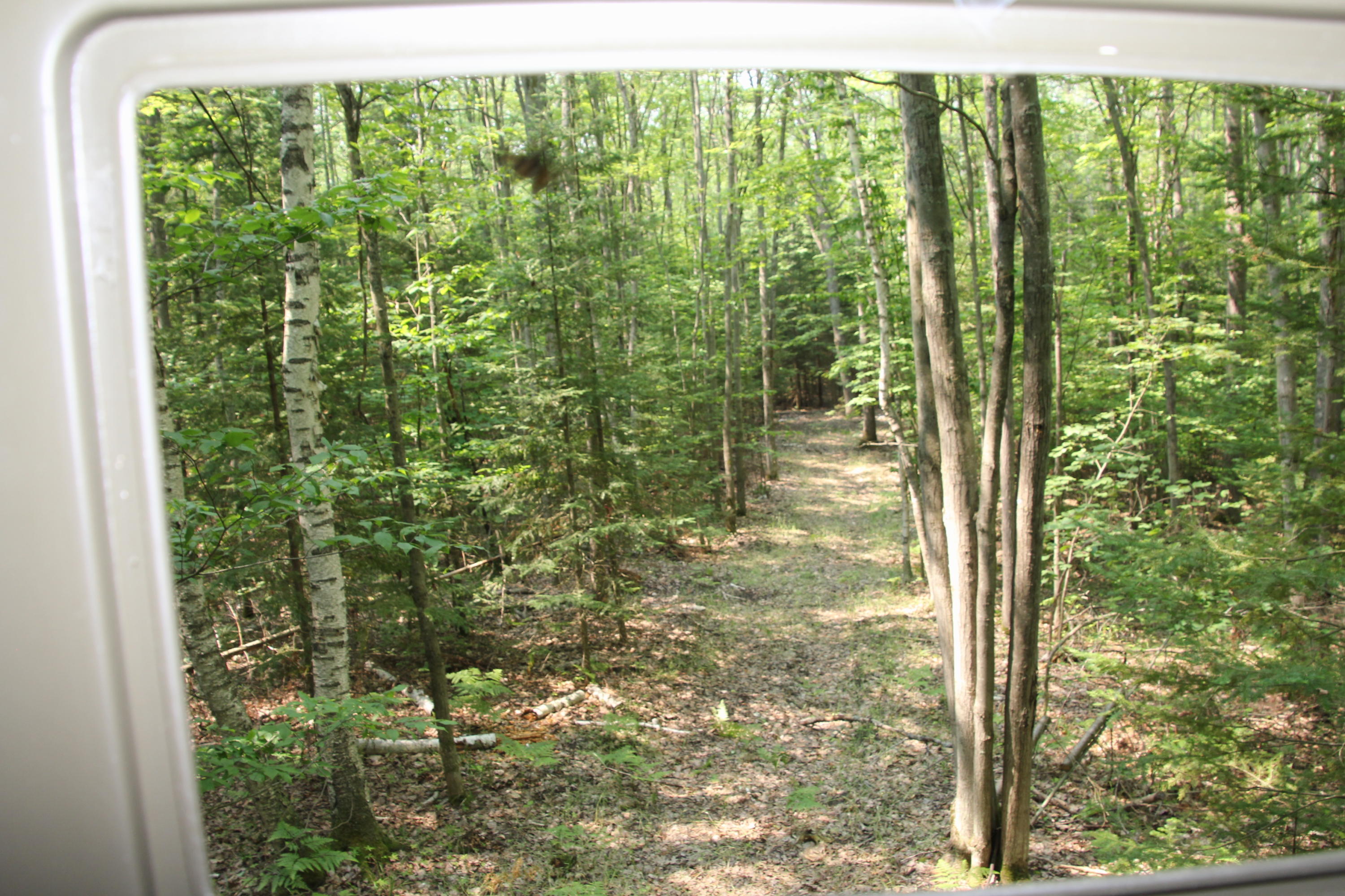 14195 McMurphy Road Atlanta, MI 49709 - Photo 76 of 77 Gallery Image 76