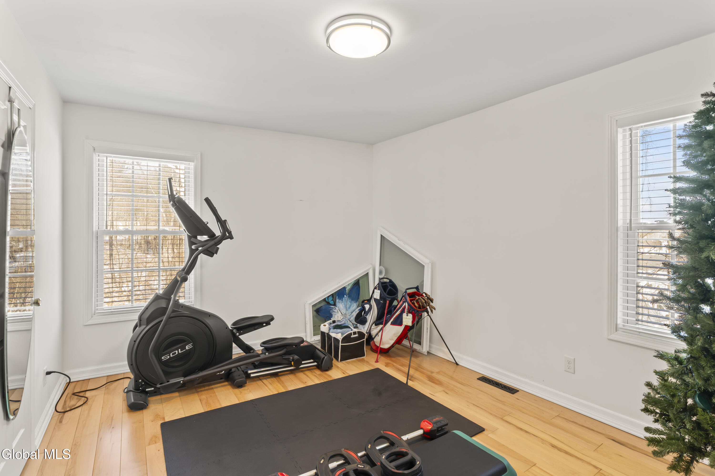 206 Main Street Altamont, NY 12009 - Photo 30 of 33 DSC02545