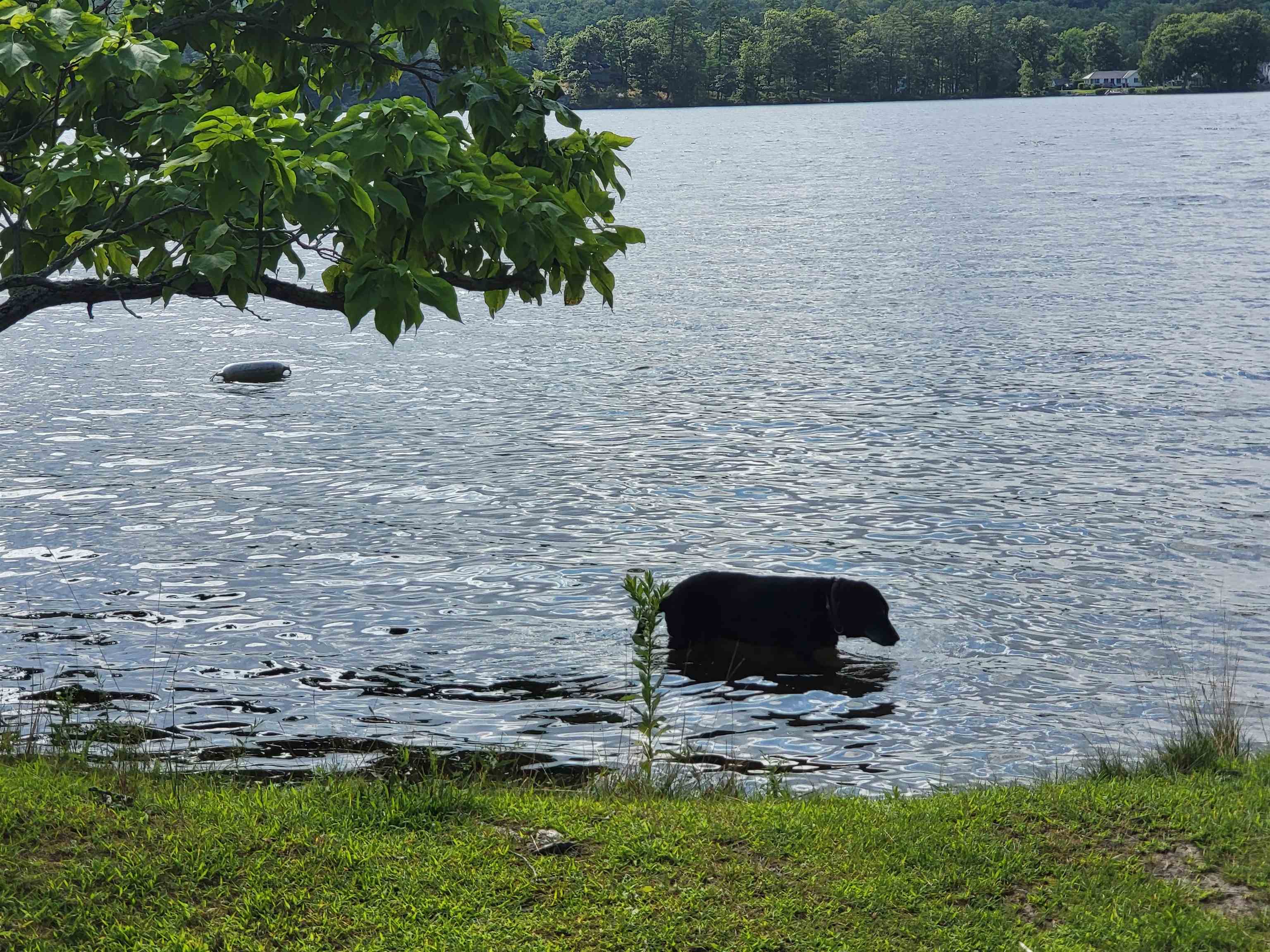 14 West Crystal Haven Castleton, VT 05732 - Photo 34 of 40