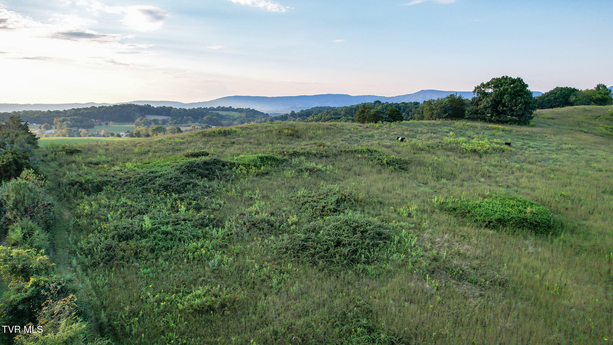 Lot 3 Morrison Road, Unit 3 Chuckey, TN 37641 - Photo 11 of 22 10