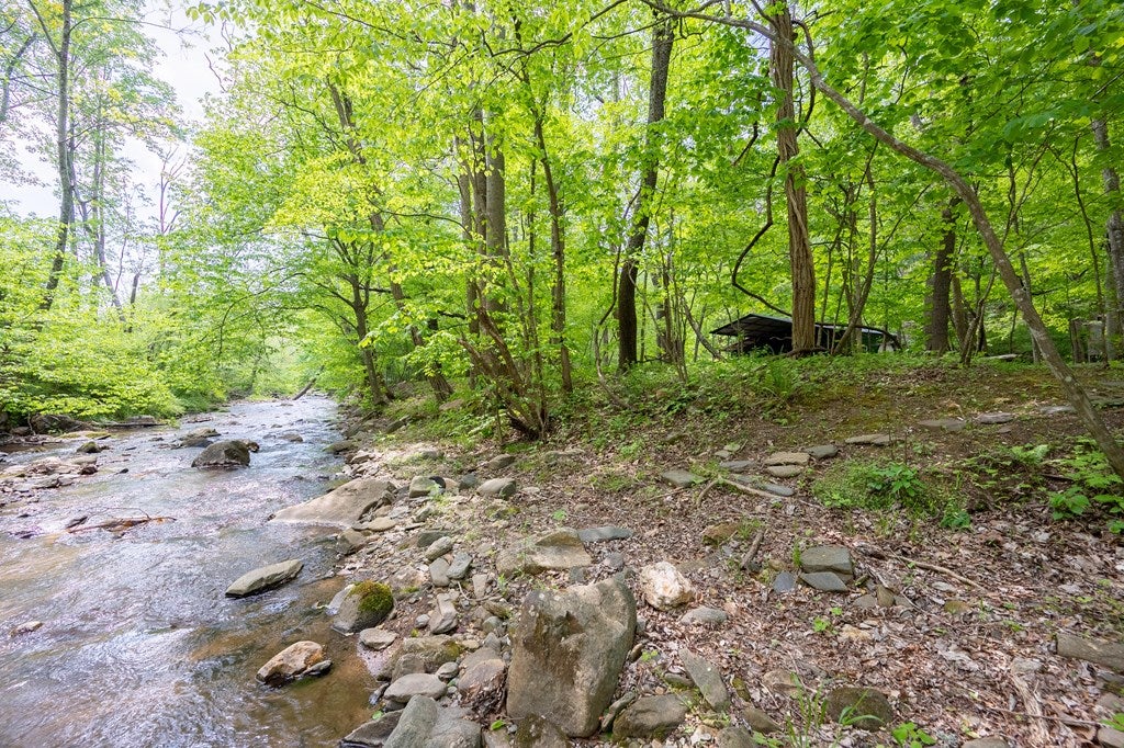 56-acres Runnett Bag Road Ferrum, VA 24088 - Photo 26 of 44 Gallery Image 26