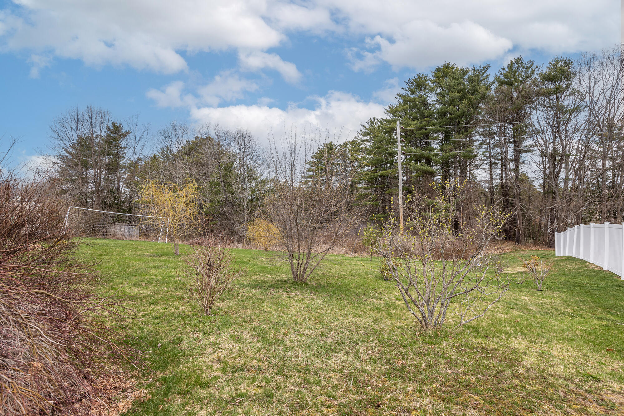 48 Alice Street Portland, ME 04103 - Photo 35 of 43 48 Alice St._W5_036