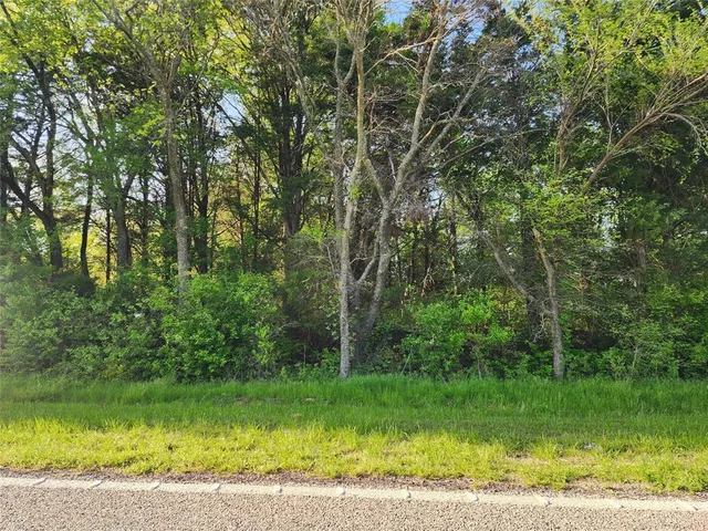 $125,000 | Tbd Tbd Fm-2194, Celeste, TX 75423