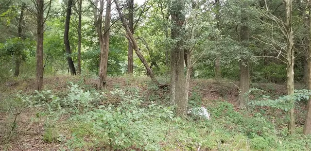 $125,000 | Tbd Tbd Fm-2194, Celeste, TX 75423